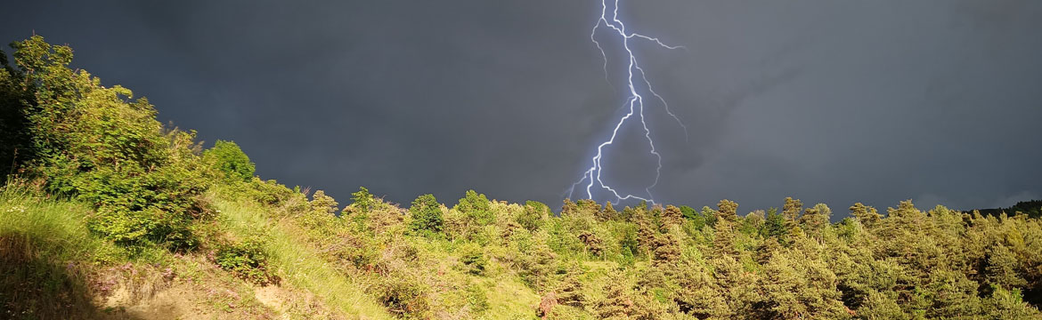 IMG_20210608_201357_517